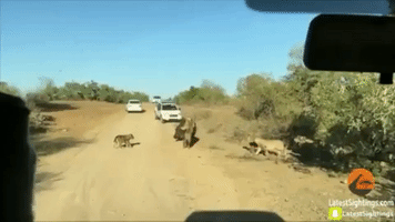 BilimFili  GIF