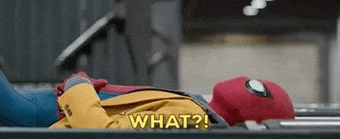 What Do You Want Spiderman Homecoming GIF by Spider-Man
