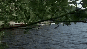 Creeping Friday The 13Th GIF by filmeditor