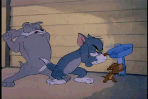 aristidespadilla dog tom jerry internet fight GIF