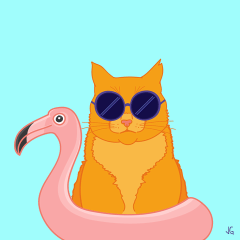 juliaguedes #cat #marijuana GIF