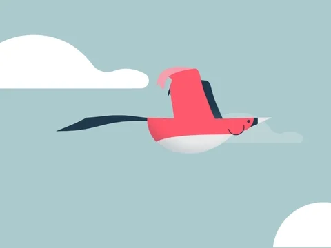 Animation Flying GIF