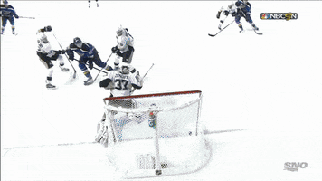 romanbentonfawns hockey nhl st. louis blues stlblues GIF