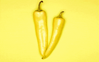 jonshannon disco peppers GIF