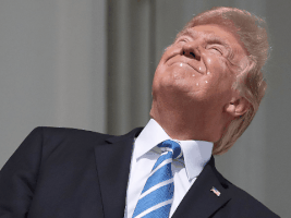 donald trump GIF