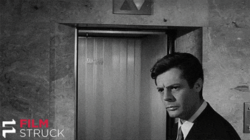 200.gif?cid=fc005b08b53467426481bf675ac877842ab488195b47ade4&rid=200.gif&ct=g