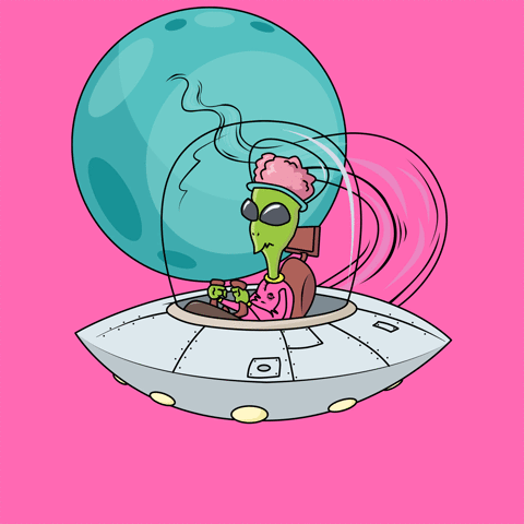 flachy  GIF