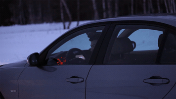 letitiaiordanescu-0322  GIF