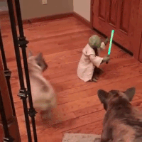 200.gif?cid=fc005b083483f84b49e60198035826371fcc6fa9a5784e20&rid=200.gif&ct=g