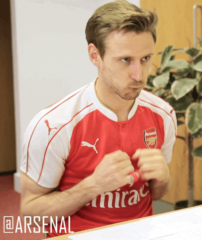 Premier League Football GIF by Arsenal - Find & Share on GIPHY