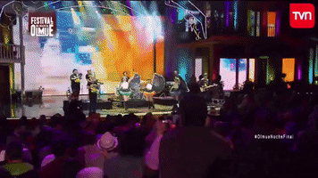 Tvn.Cl GIF