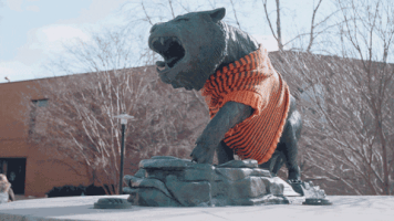 college rit GIF by Rochester Institute of Technology