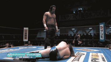 Pro Wrestling GIF