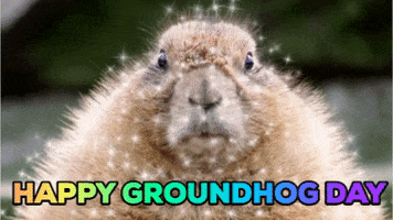 Groundhog Day GIF by Justin