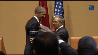 alfredwkng  GIF