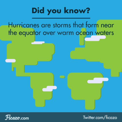 Facts Hurricanes GIF by Ficazo