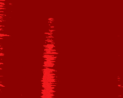 agora  GIF