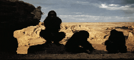 gifodyssey gifodyssey GIF