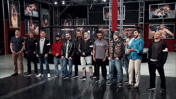 the ultimate fighter tuf 25 GIF