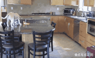 CpA  GIF