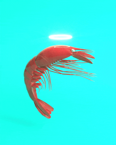 I need a new idea for a shrimp dish...