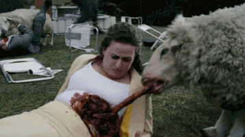 gifmorderca  GIF