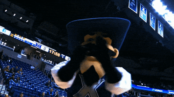 xavier university big east mascots GIF by BIG EAST Conference