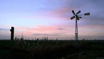 sunset perfect loop GIF by Living Stills