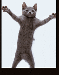 stoney  GIF