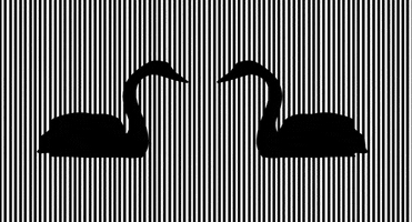Illusion Swan GIF by leonidkalyadin