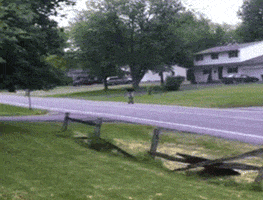 scooter lol GIF by America's Funniest Home Videos