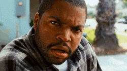 ice cube what GIF