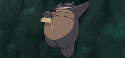 zach_loves_naruto anime fun cartoon totoro GIF