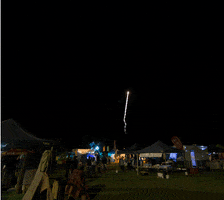 glitch  GIF