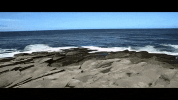 whales GIF by Guster