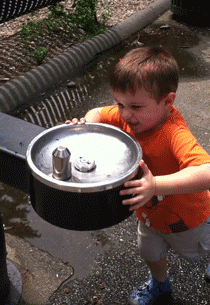 funny water GIF by America's Funniest Home Videos