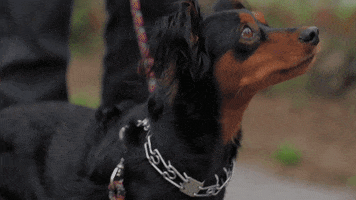 unsingletheseries love funny cute lol GIF
