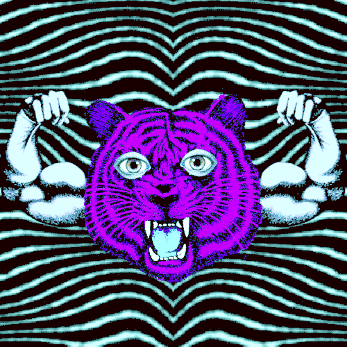 Stong Cat GIFs Find & Share on GIPHY