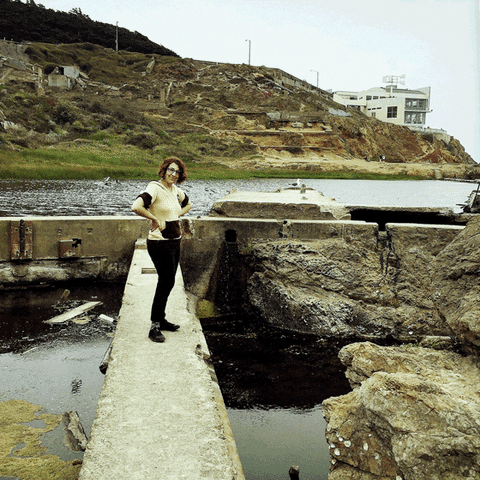 sutro baths iphone GIF by Doctor Popular