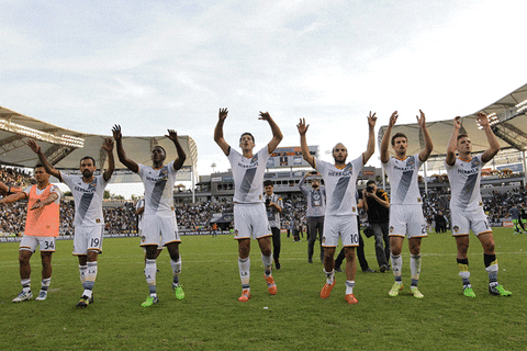 celebration