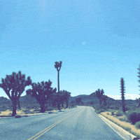 driving road trip GIF by Jess