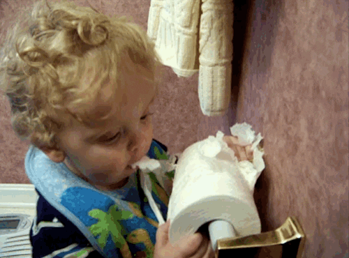 Toilet Paper Eating GIF by AFV Babies - Find & Share on GIPHY