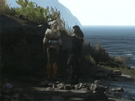 lyon  GIF