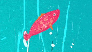 Fish 2D Animation GIF by Caleb Wood