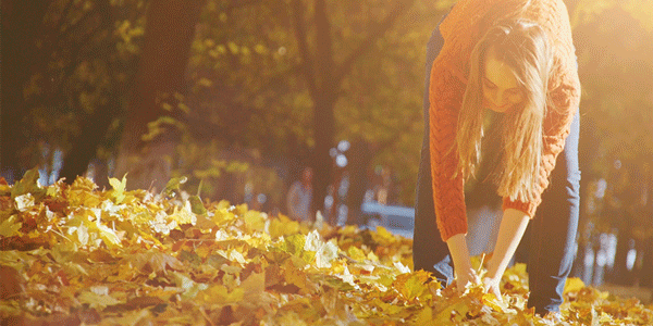 Image: https://media1.giphy.com/media/xTiTnuwrskUUhU1Yju/source.gif Fall Leaves GIF by ATT - Find  Share on GIPHY