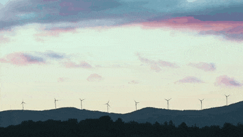 estudioabc ice cream cow road sorvete GIF