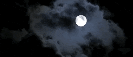 New York Film Festival Moon GIF by Film at Lincoln Center