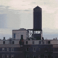 animation colors GIF by Ryan Seslow