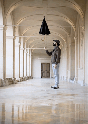 circulations  GIF