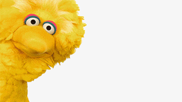 sesame street hbo now GIF by HBO